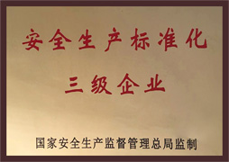 安全生產(chǎn)標(biāo)準(zhǔn)化 